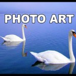 Art Photos